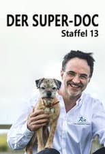 Season 13 poster
