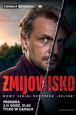 Limited Series poster