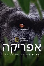 Miniseries poster