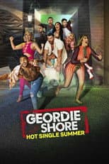 Hot Single Summer poster