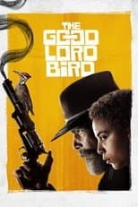 Limited Series poster