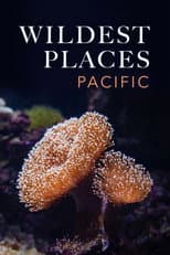 Wildest Pacific poster