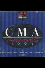 1993 poster