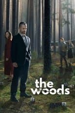 Limited Series poster