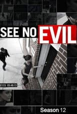 Season 12 poster