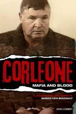 Miniseries poster