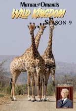 Season 9 poster