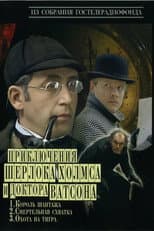 The Adventures of Sherlock Holmes and Dr. Watson poster