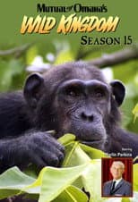 Season 15 poster