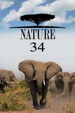 Season 34 poster