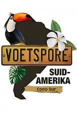 Suid-Amerika 1 (Cono Sur) poster