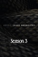 Season 3 poster