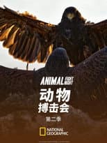 Season 2 poster