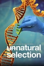 Limited Series poster