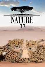 Season 37 poster