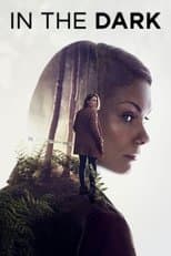 Miniseries poster