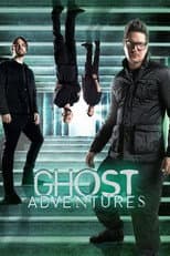 Season 17 poster