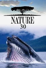 Season 30 poster