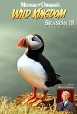 Season 18 poster