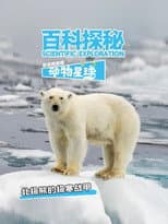 Season 2 poster