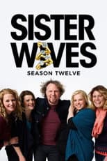 Season 9 poster