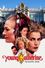 Miniseries poster