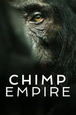 Limited Series poster