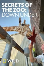 Season 2 poster