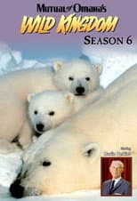 Season 6 poster
