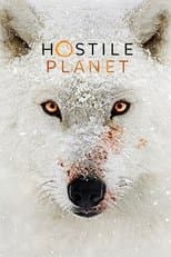 Miniseries poster