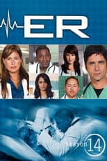 Season 14 poster
