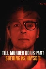 Limited Series poster