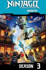 Rebooted poster