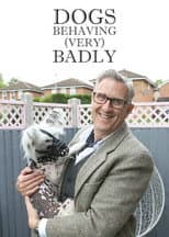 Series 6 poster