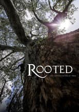 Rooted in Africa poster