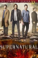 Season 12 poster