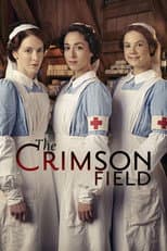 Miniseries poster
