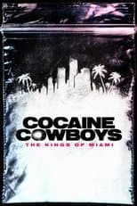 Limited Series poster