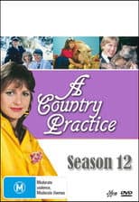 Season 12 poster
