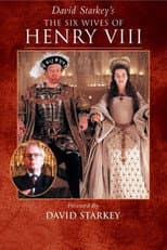 Miniseries poster