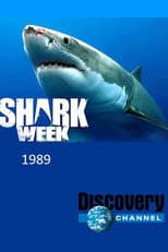 1989 poster