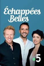 Season 20 poster