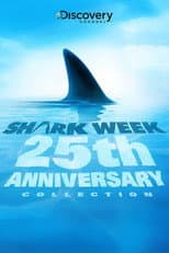 2012 poster