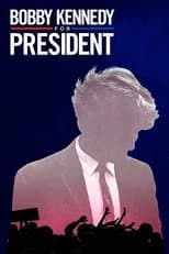 Limited Series poster