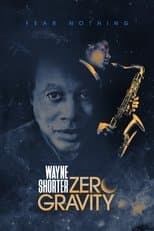 Miniseries poster