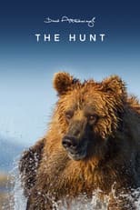 Miniseries poster