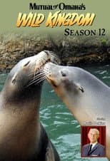 Season 12 poster