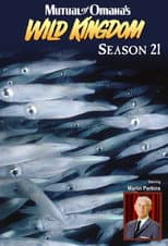 Season 21 poster