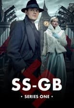 Miniseries poster
