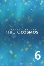 Season 6 poster